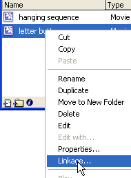 The contextual menu of the Flash Library.